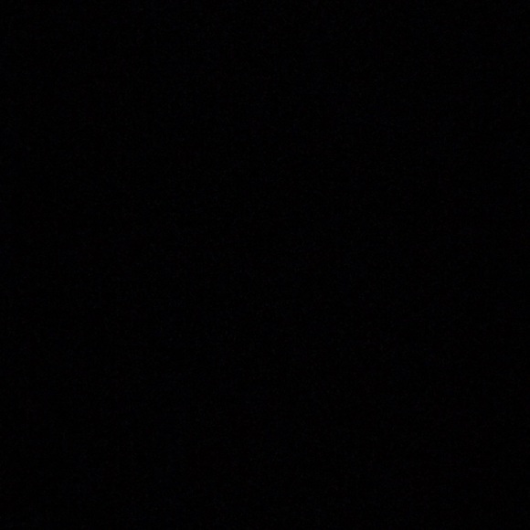 Meet your Posher, Myles - Picture 1 of 1